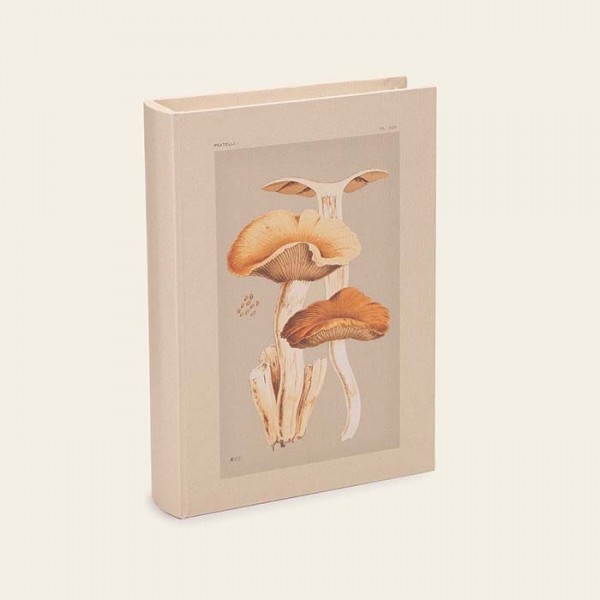Livro Caixa Fungi P